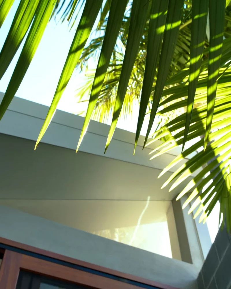 Custom architectural home built by Adapt Building in Newcastle